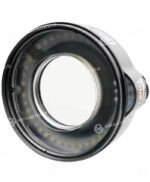 KAISI NUEVA TRUE L (2)