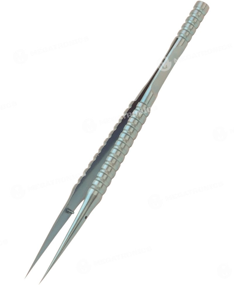 BATATA5 GRIS PINZA RECTA DE TITANIO