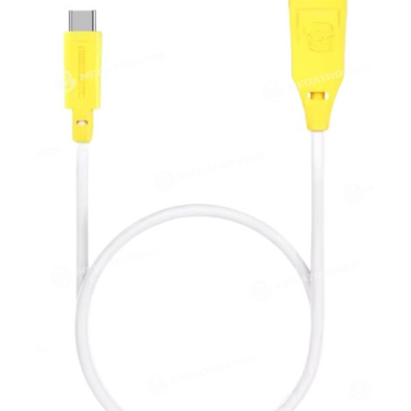 MECHANIC IP15 RESTORE EASY